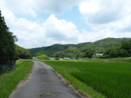 画像21